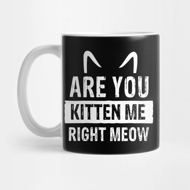 Are You Kitten Me Right Meow by pako-valor